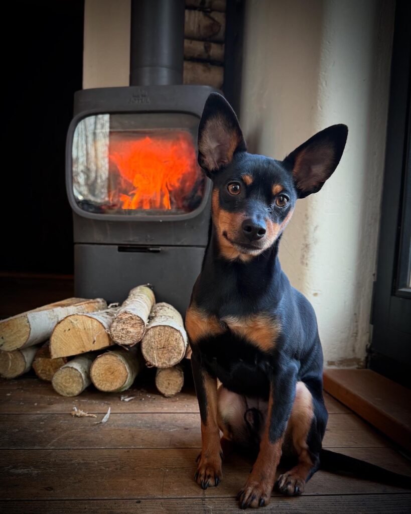 50E76510 7E2E 4D79 AF10 73F98797E1B3