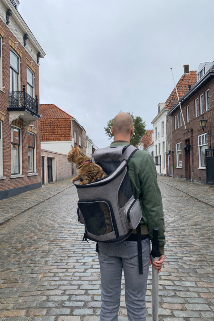 Maya, nuestra gata aventurera, durante una excursión urbana tranquila. La imagen ilustra uno de los casos en los que una mochila transportadora puede tener sentido, siempre que se adapte al carácter del gato.