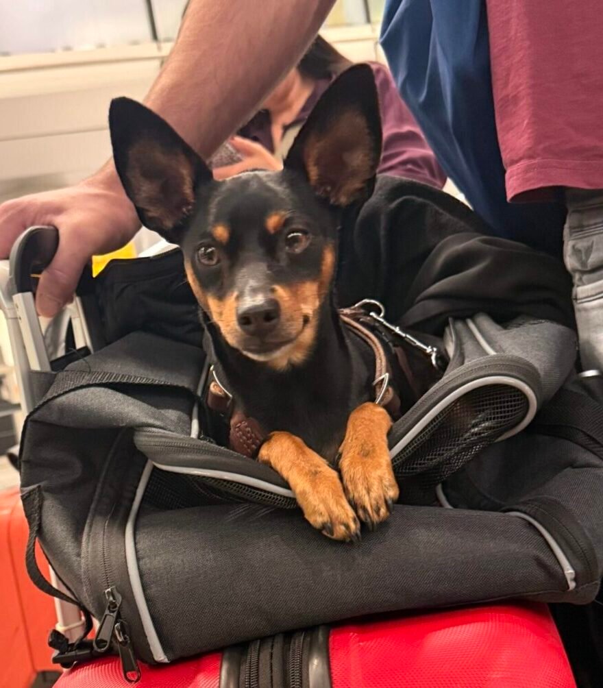 Paco at the airport scaled e1771335259129